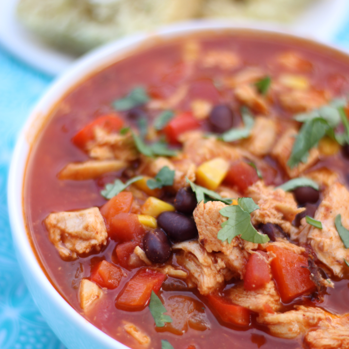 Chicken Enchilada Soup {High Protein, Low Fat & Low Carb} | Biceps ...