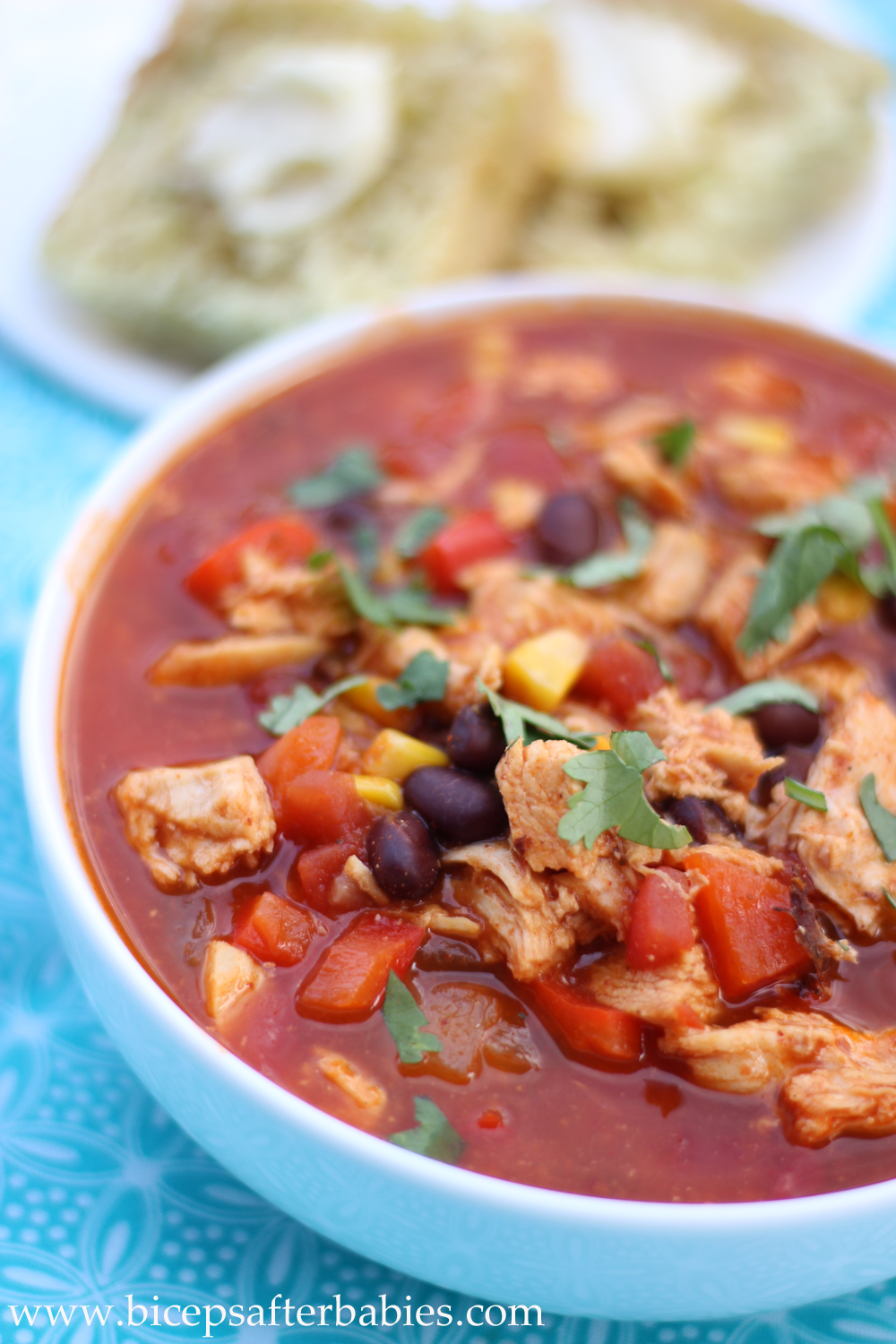 Chicken Enchilada Soup {High Protein, Low Fat & Low Carb} | Biceps ...