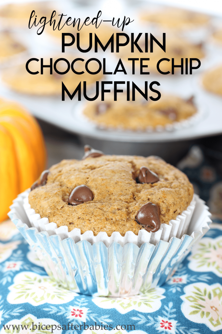 Moist Lite Pumpkin OR Pumpkin Chocolate Chip Muffins {Macros for Both ...